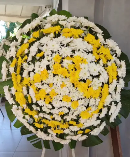 Coroa 01 — amarela e branca — coroa de flores em Salvador. Coroa redonda de crisântemos amarelos e brancos.