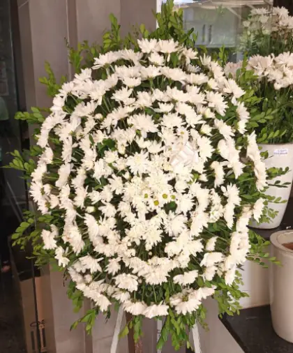 Coroa 01 — branca — coroa de flores em Salvador. Coroa redonda de crisântemos brancos, com folhagem.