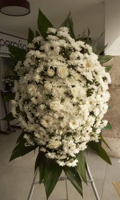 Coroa Especial 1 — coroa de flores em Salvador. Coroa redonda de crisântemos e gérberas brancas.